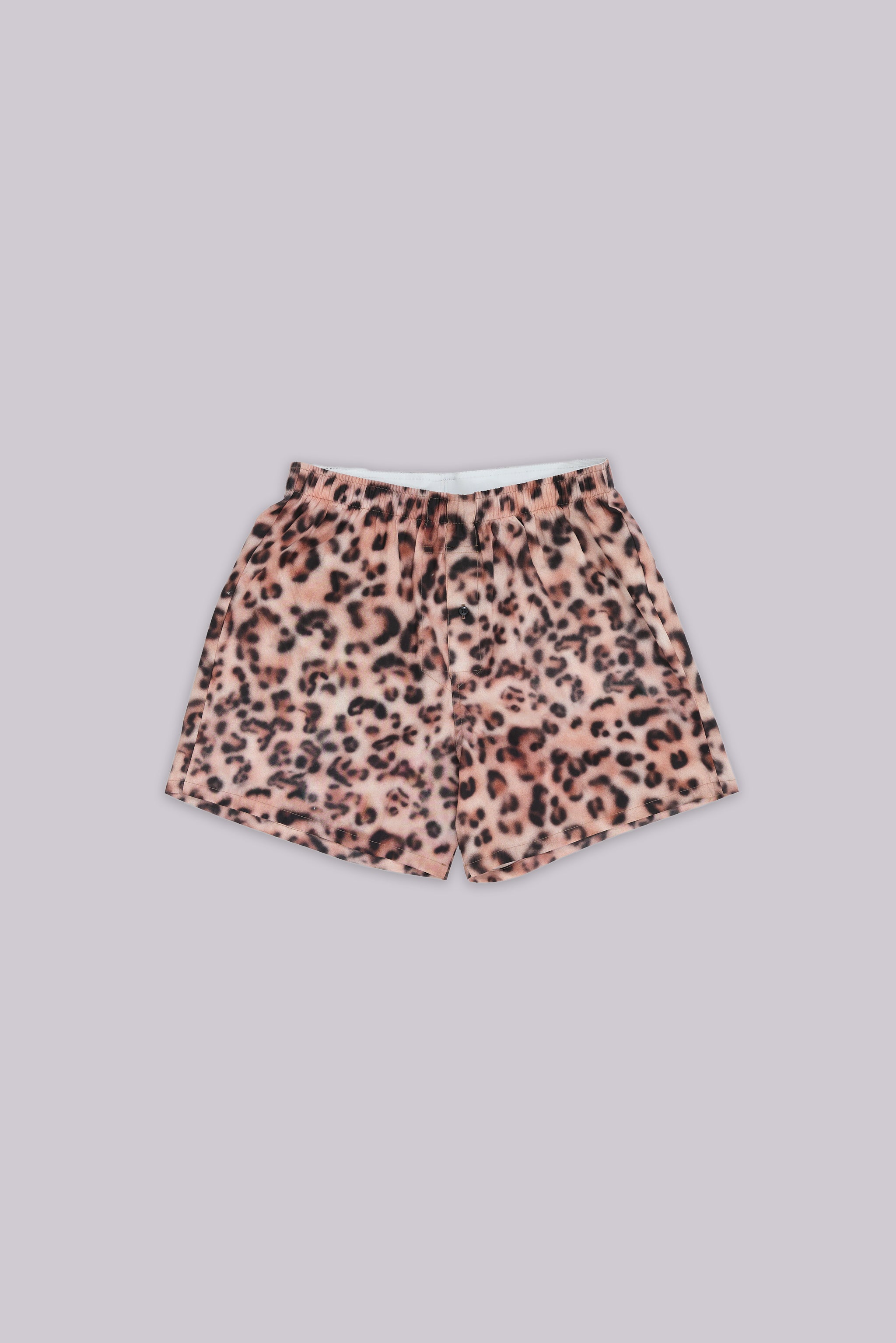 Panthera Boxers