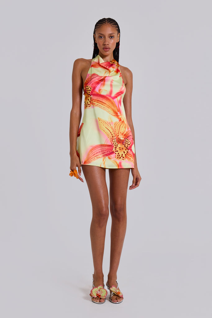 Lucia Backless Mini Dress With Flower Detail | Jaded London | Lucia Lucia Backless Mini Dress With Flower Detail | Jaded London | Lucia