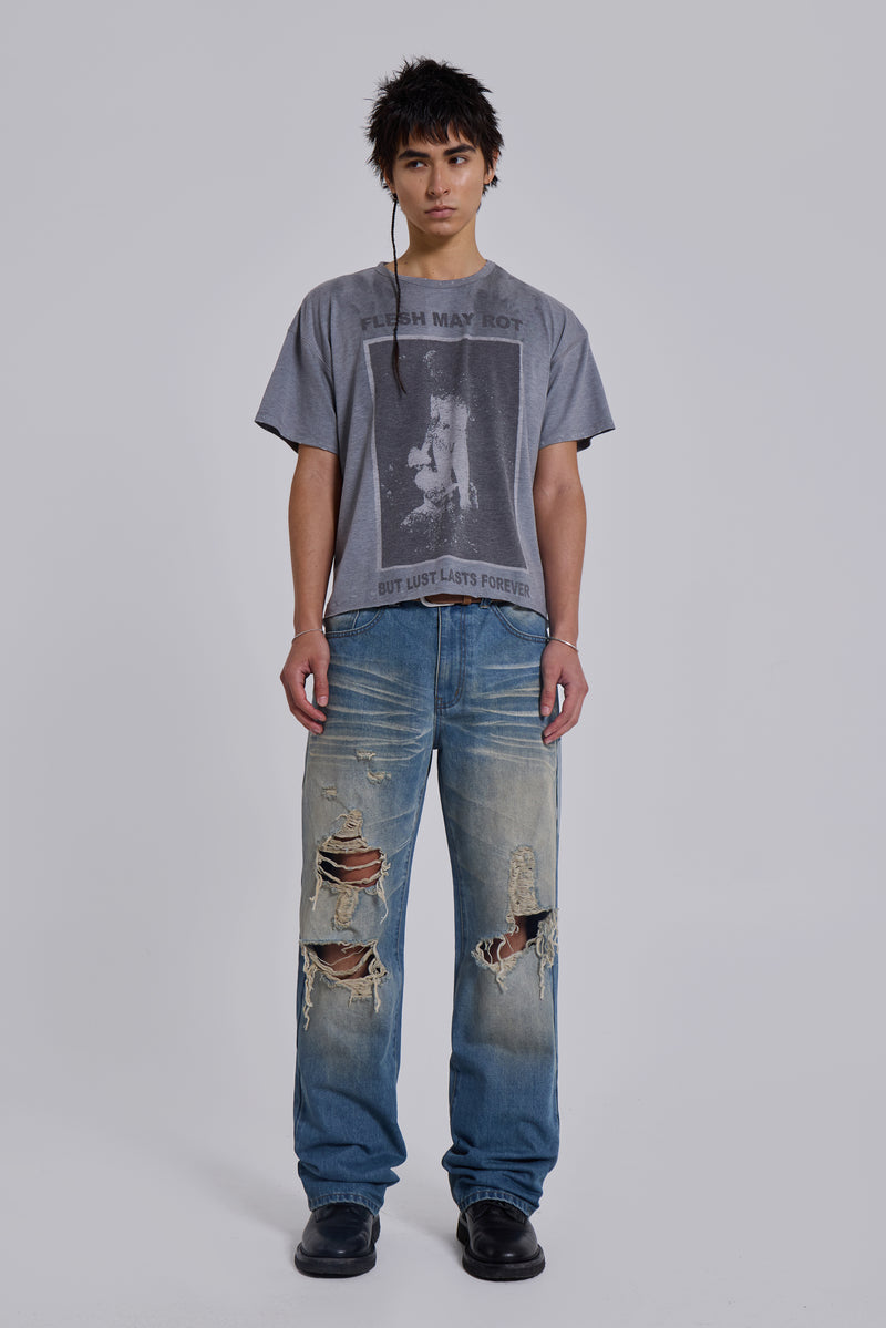 Distressed Muse Jeans