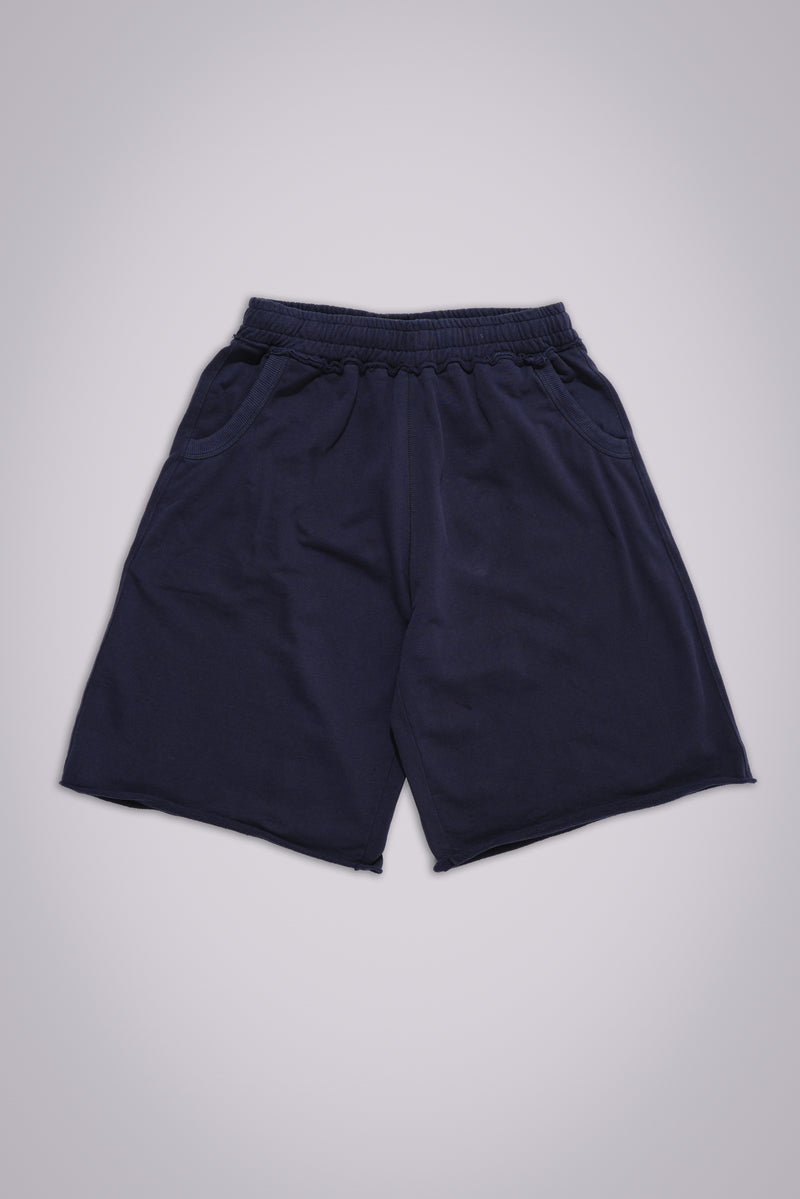Navy Monster Shorts