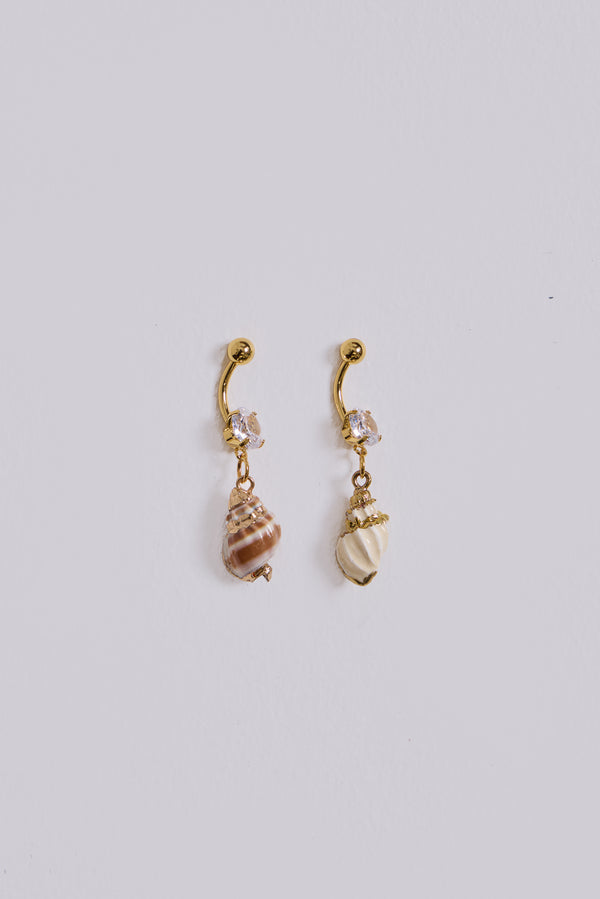 Shell Belly Bar