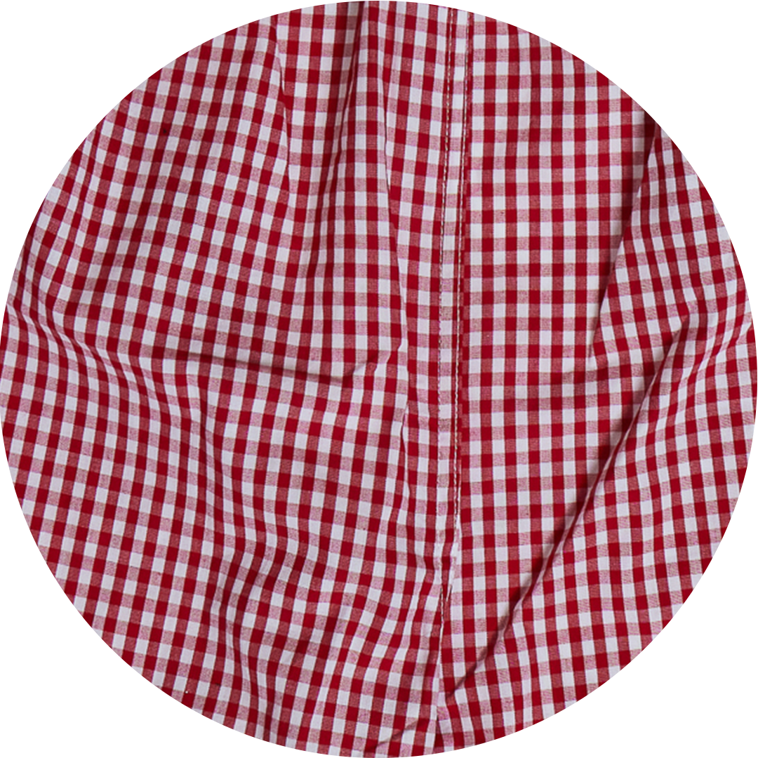 Red Gingham Printed Boxers