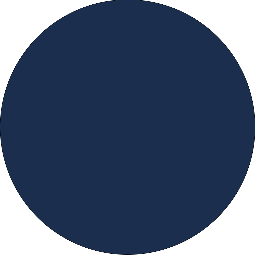 Odile Denim Fringe Lace Up Corset