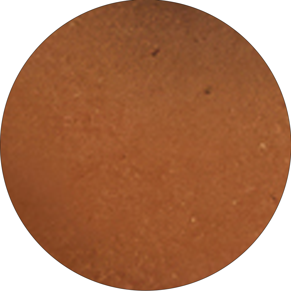 Noctra XL Stud Sunglasses in Amber