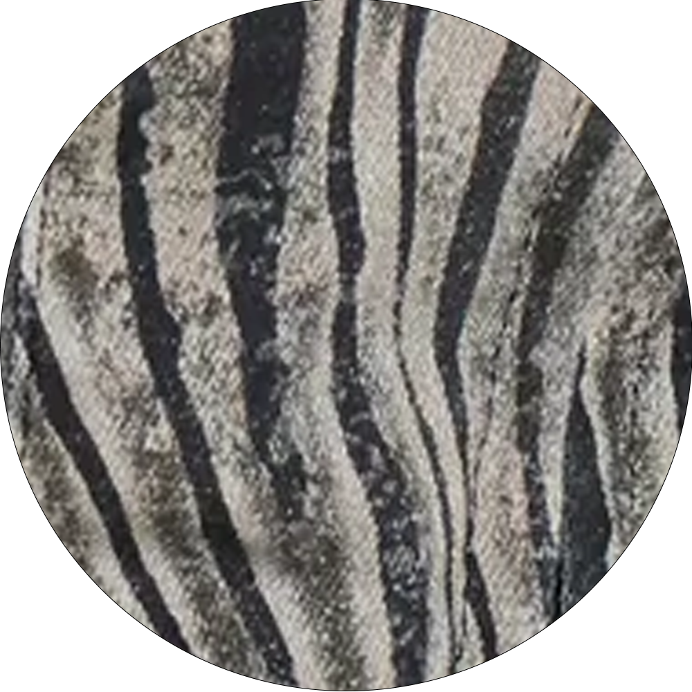 Zebra Zene Backless Top