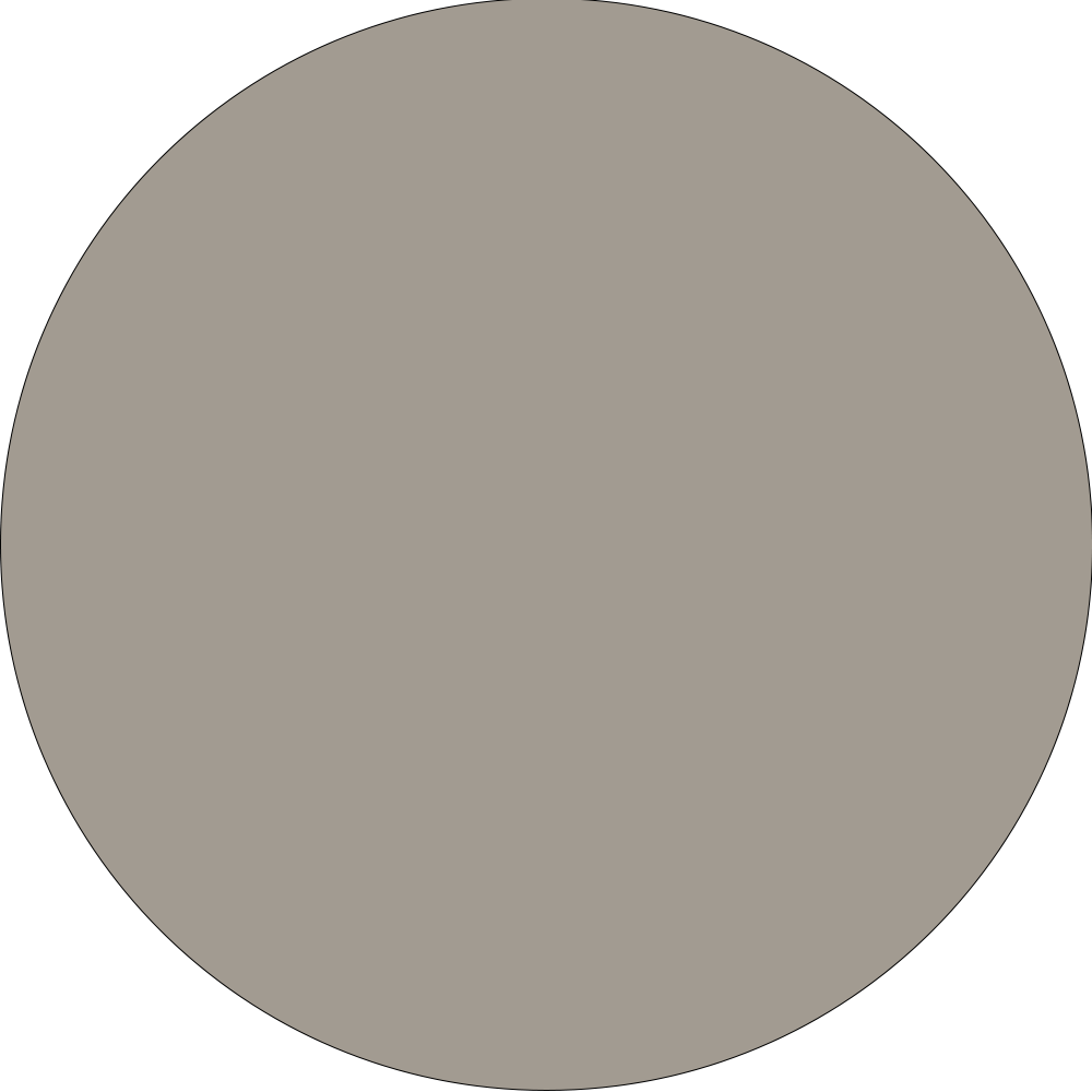 Light Wash Colossus Jeans