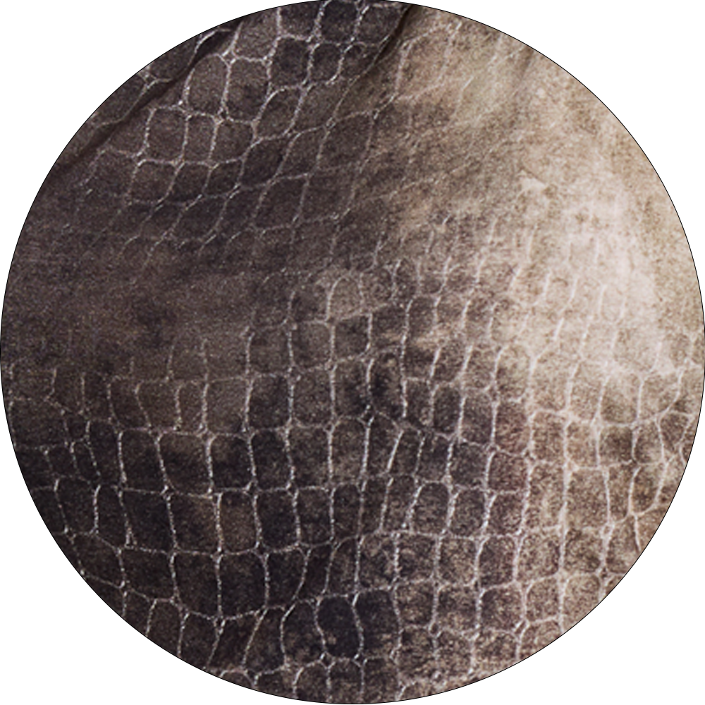 Ophidian Devore Backless Mini Dress in Croc