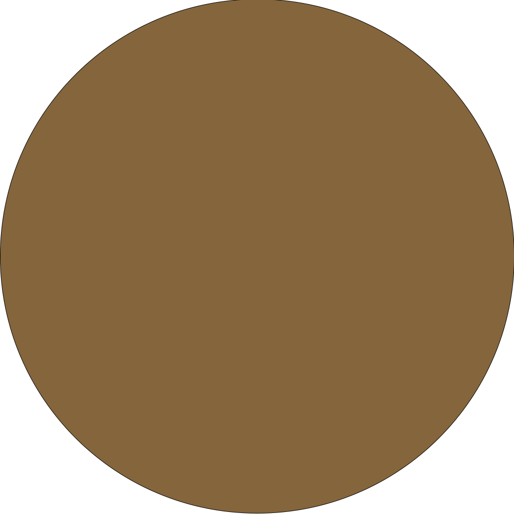 Blonde Mendoza Jacket