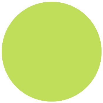 Melona Raw Edge Bikini Top in Lime